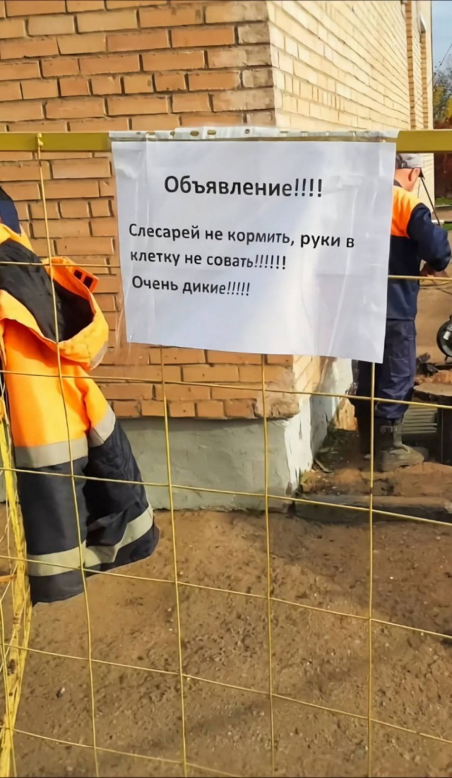 Пятничные картинки