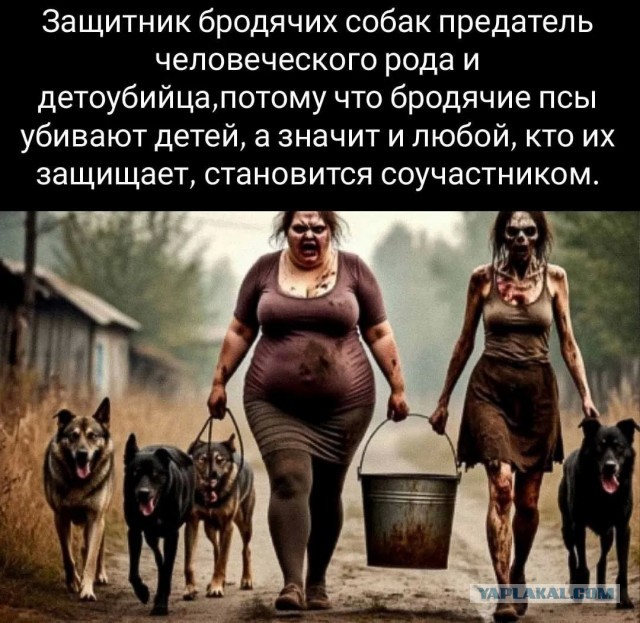 Ну хотя бы у неё не 40, а всего 17 кошек
