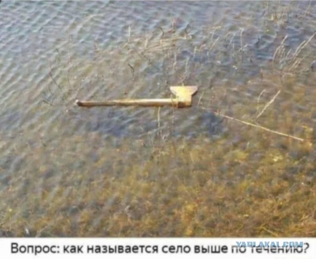 Так себе картинки 30.06.26