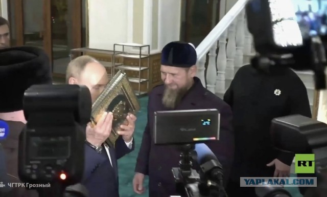 В чем разница между фамилиями на «-ов» и «-ин»?