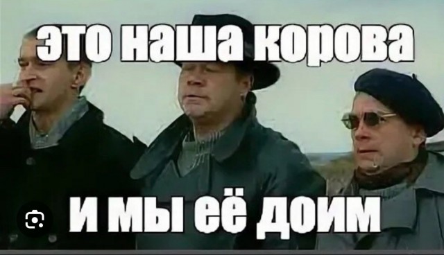 Штраф за сбитых животных