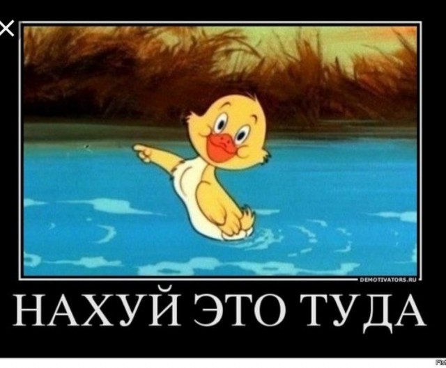 Скиньте и мне тоже рандомной херни