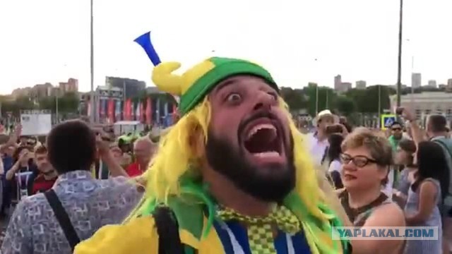 *БАЯН*Услада для глаз