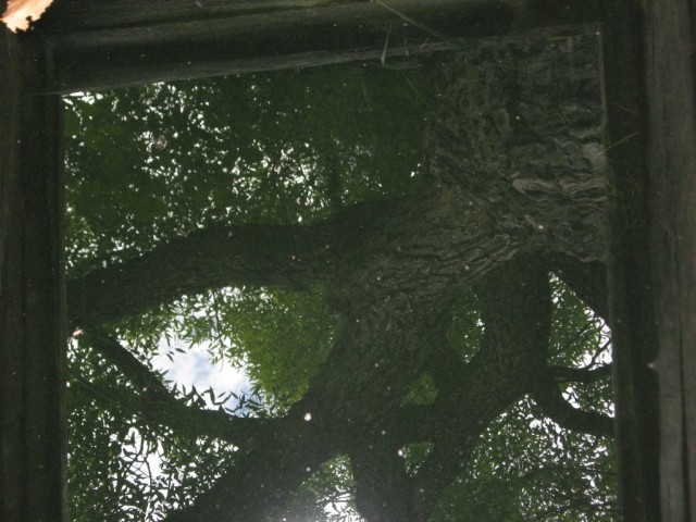 Поездка на Тамбовщину