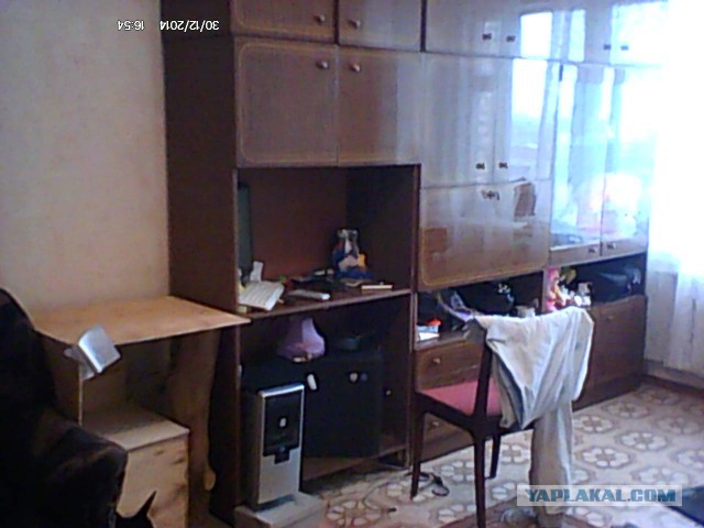 Прямо сейчас запилил дом для кота