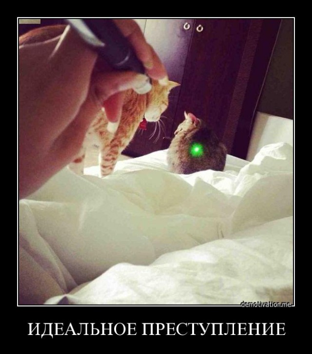 Демотиваторы.
