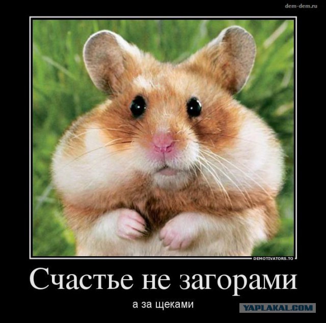 Добряки, плюсующие всех подряд