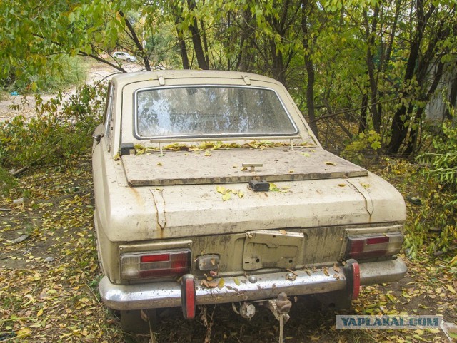Нашел в кустах