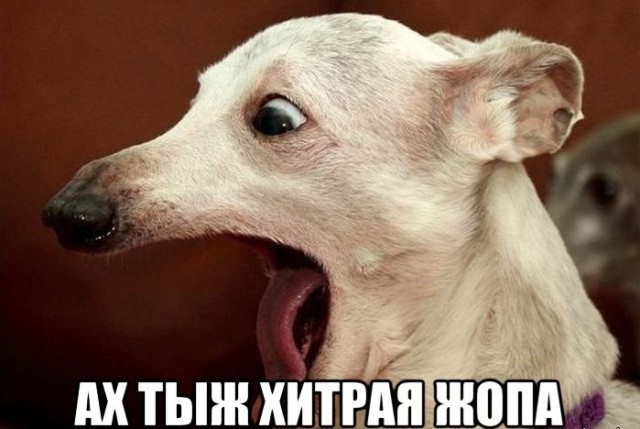 "Герой" нашелся.