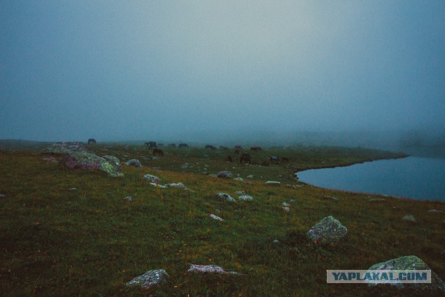 К заповедным озерам и долинам Архыза