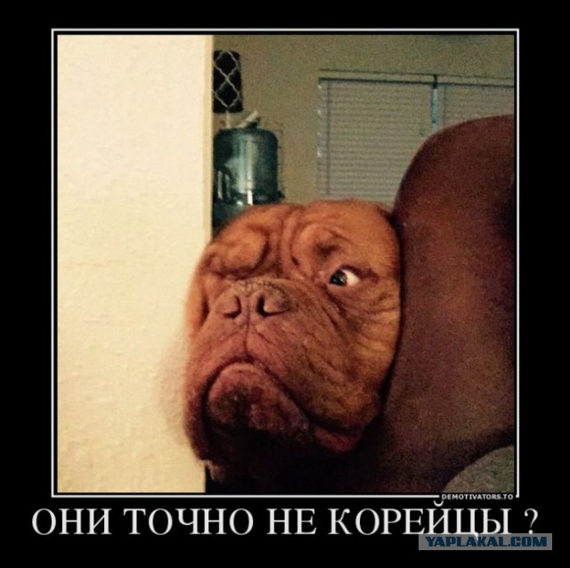 Забавные картинки из Сети