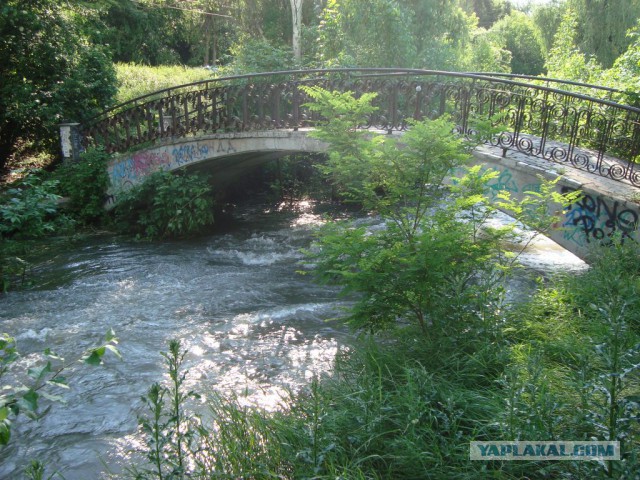 Ливень в Симферополе
