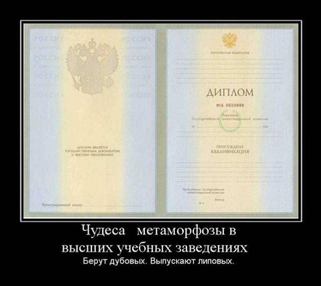 Прикольные картинки и демотиваторы
