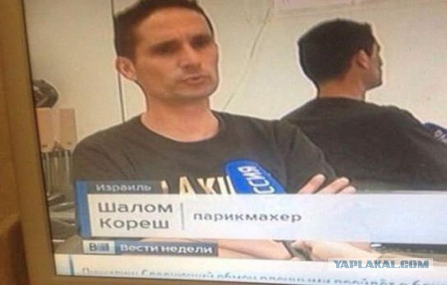 Подборка веселых картинок