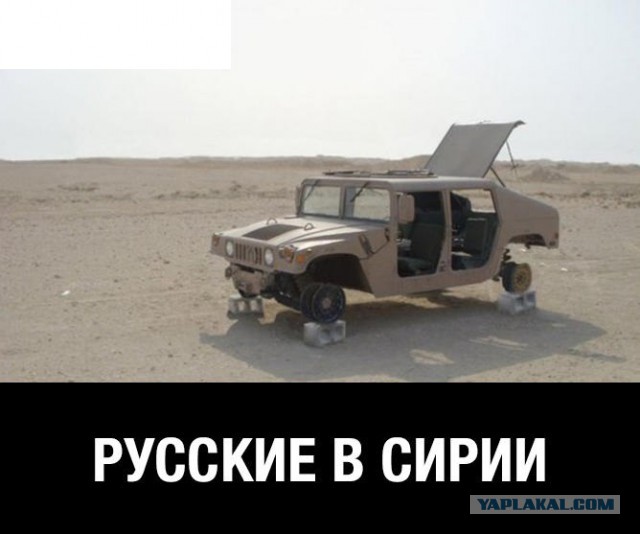 Картинки