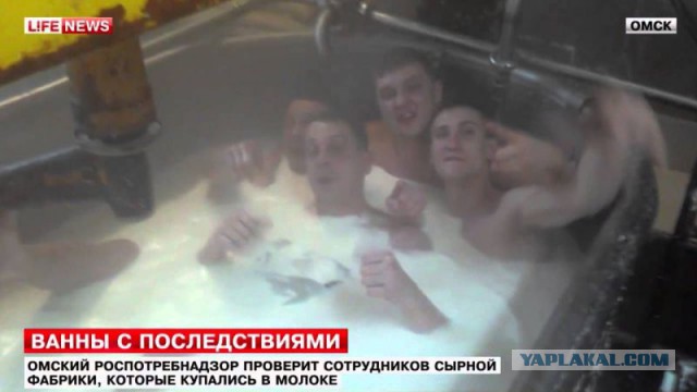 Убийство белой медведицы 18+