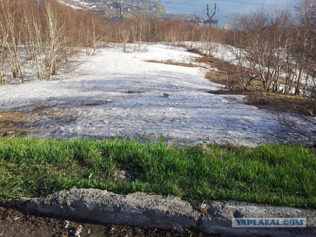 Утомленные икрой: какая она, жизнь на Камчатке?