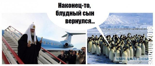 Встреча патриарха с Ковальски