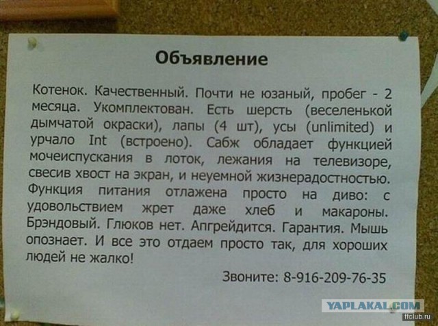 Смешные картинки