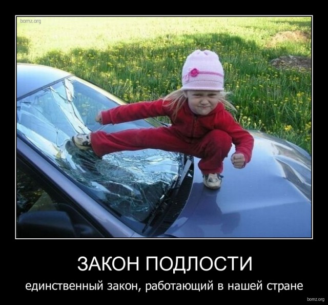 Картинки из сети