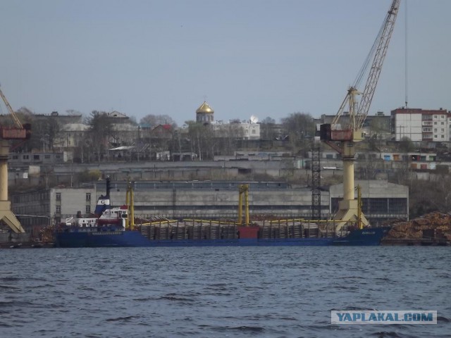 Советская Гавань. Побережье Татарского пролива - конец материка