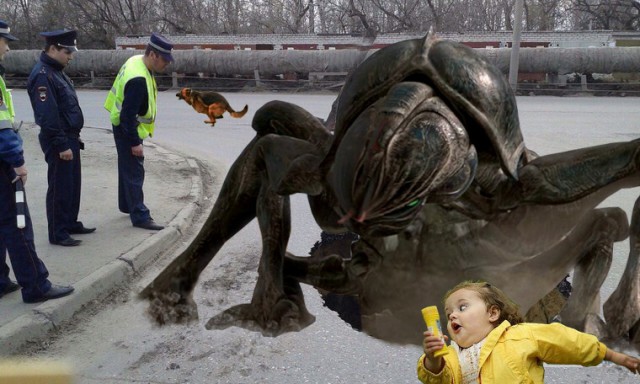 Пожабим?