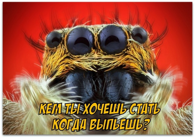 Интересные факты о селедке