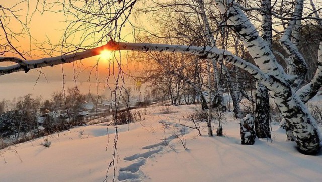 Моменты, запечатлённые на фото и просто позитив 5