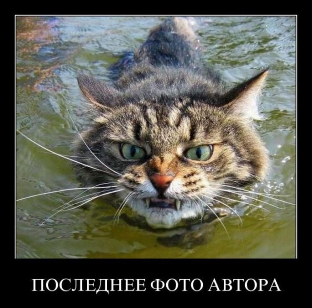 Немножко картинок с буквами, типа демотиваторы