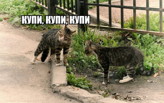 Подборка интересных и веселых картинок