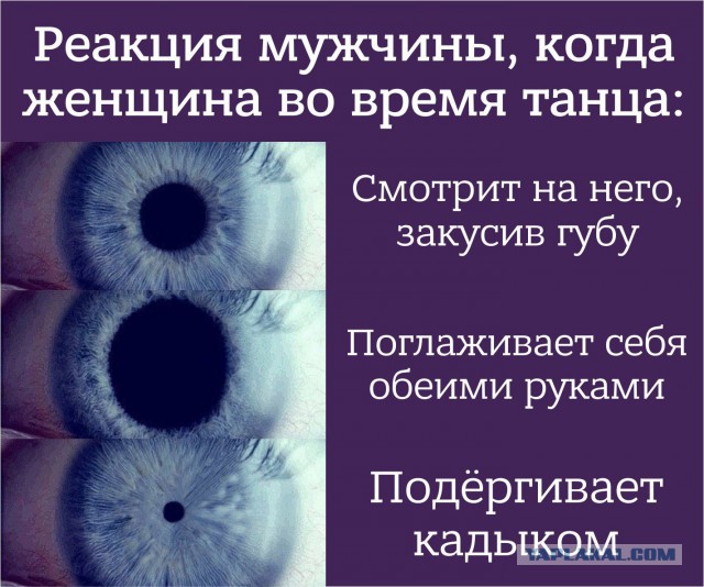 Няшные тайцы