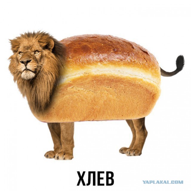 Немного странный юмор