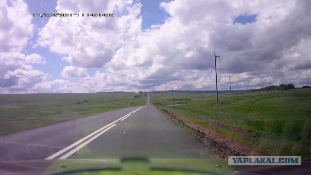 Об июньских грибах Оренбуржья.