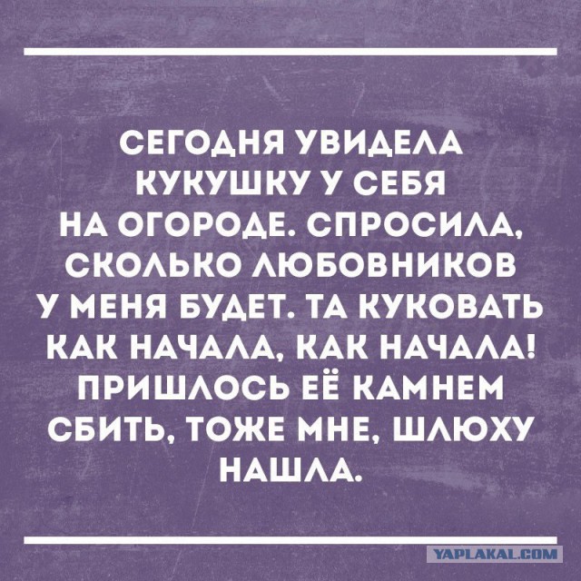 Прямо в точку