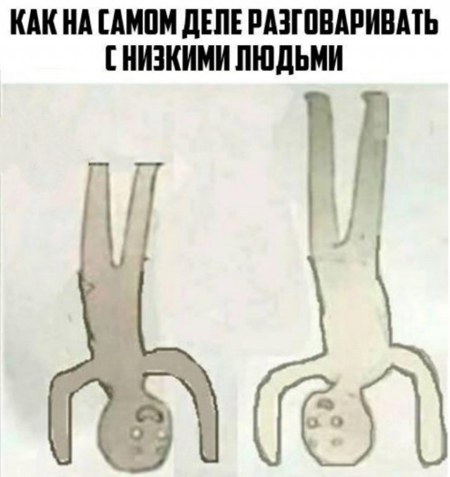 Приколы в стиле "регресс"