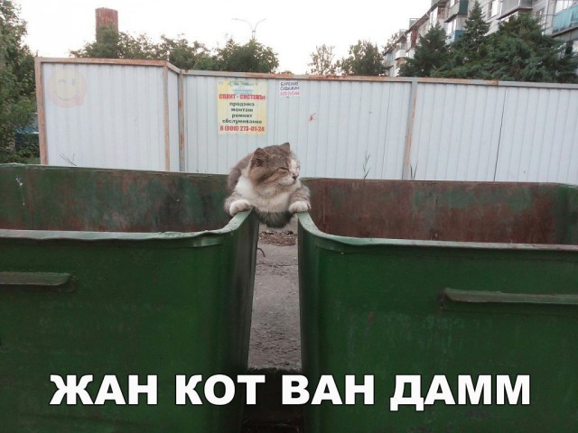Эй, стахановец, заканчивай работу, погнали отдыхать!