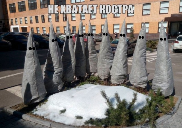 Глазки от работы отрывайте, на картинки повтыкайте!