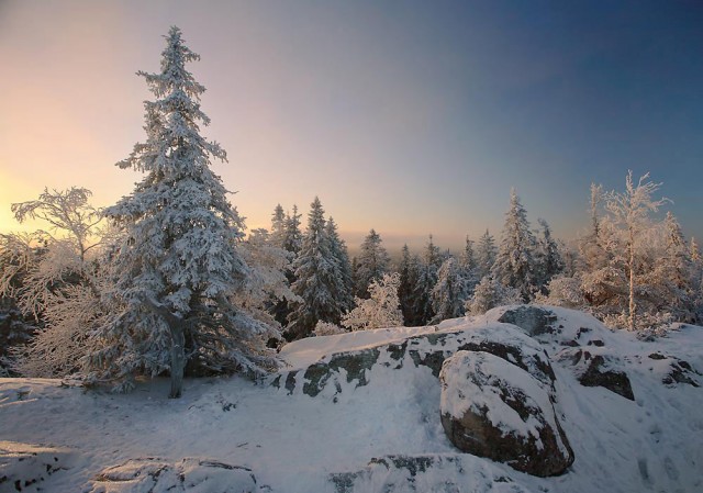 В наряде снежных кружев