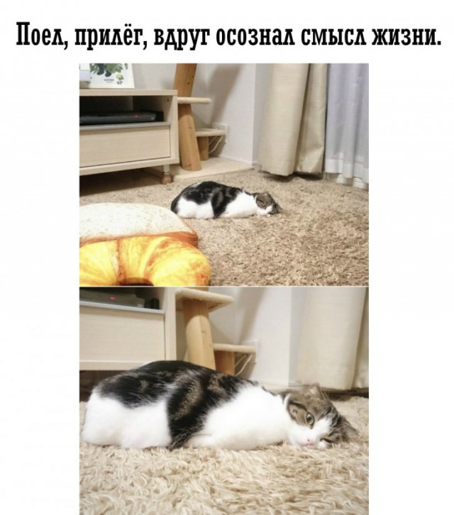 Немного картинок для настроения