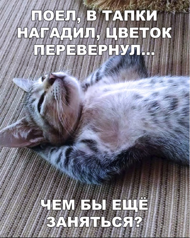 Нестандартный юмор