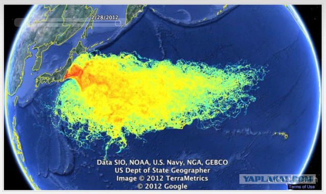 Фукусима, зона отчуждения - 8 лет спустя
