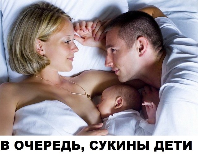 Скотсети и прочие интернеты 09.08.19