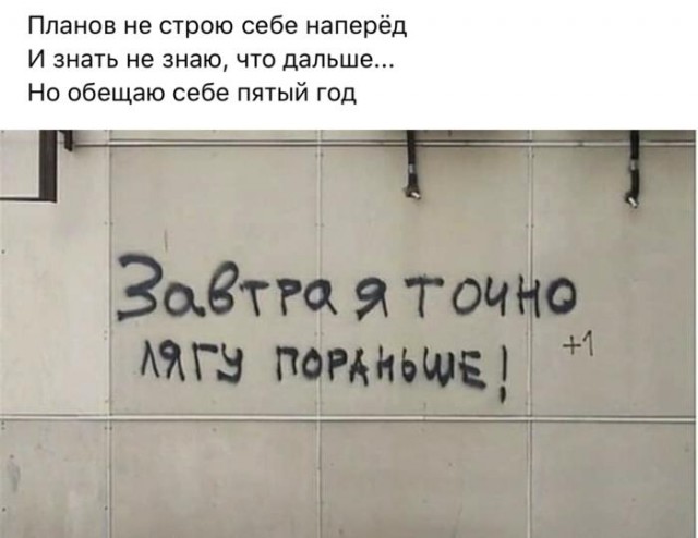 Вижу Рифмы V