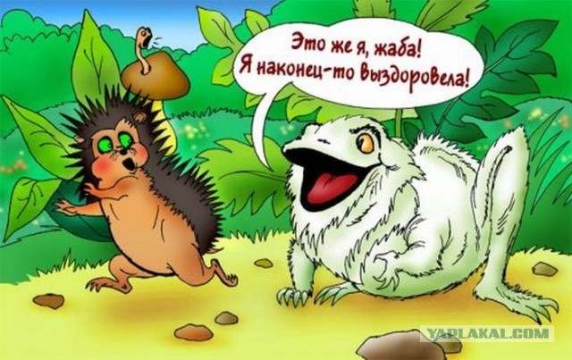 Кто мы на форумах?
