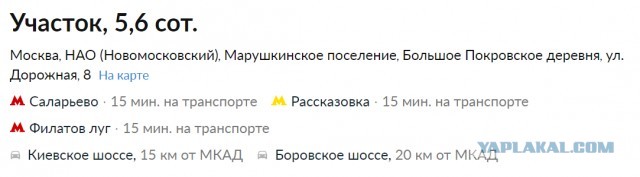 «Методы за гранью понимания». Дом Раисы Полотеровой в московской деревне Терехово снесли у нее на глазах
