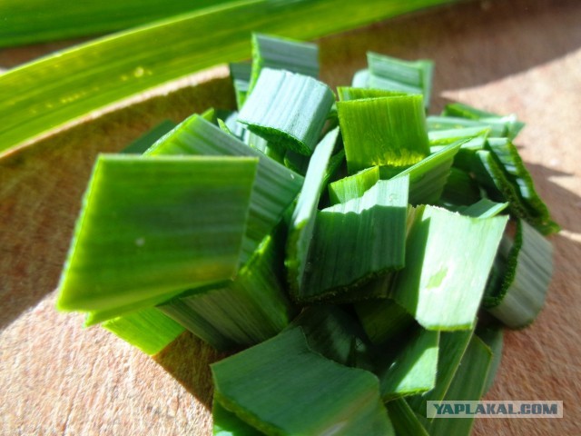 Лапша лугового флота свободного выгула