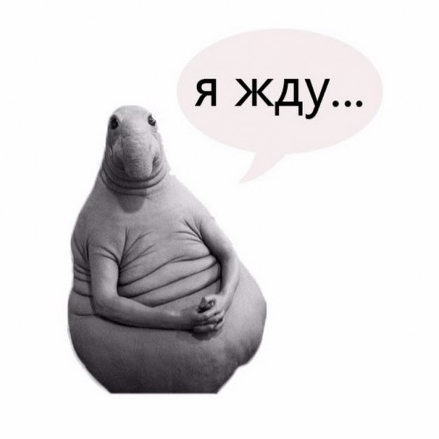Я потерплю! Я терпел, могу ещё!