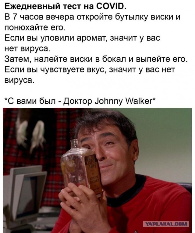 Бредзона