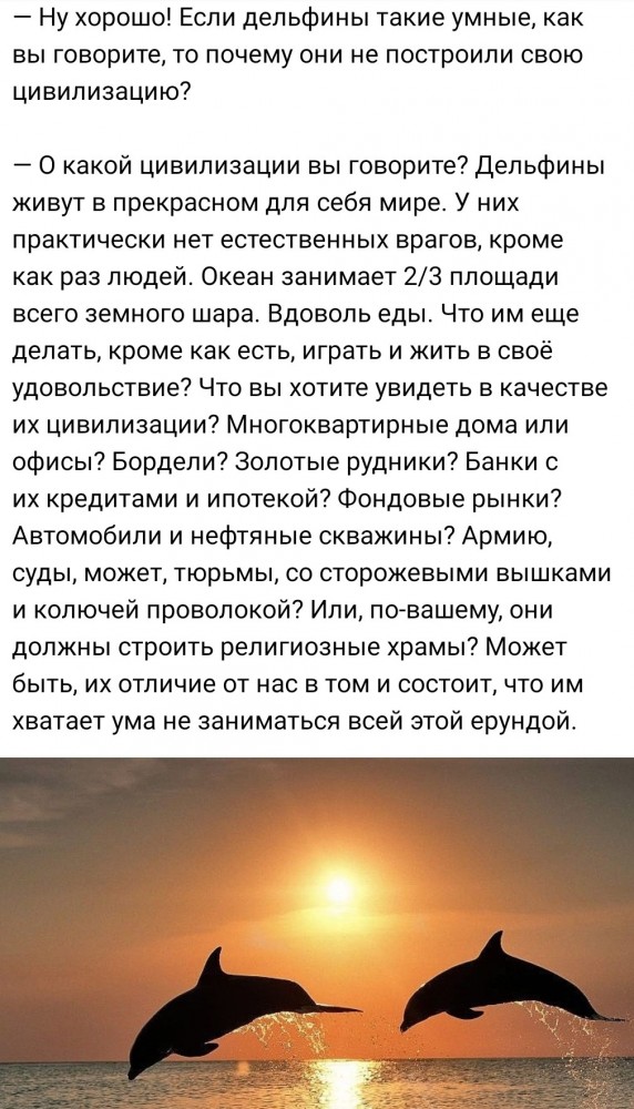 Дельфины ловят рыбу на мелководье