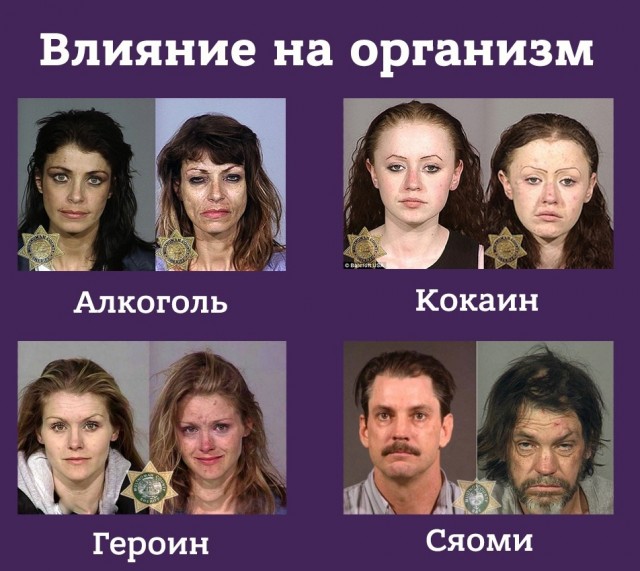 Мир без алкоголя